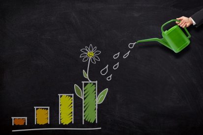 business investment account