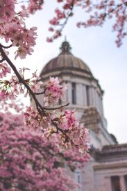 state jobs