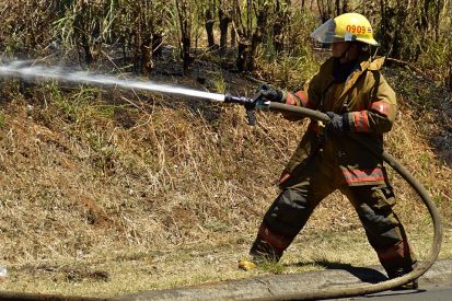 forest service jobs