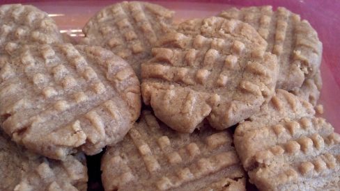 homemade peanut butter cookies