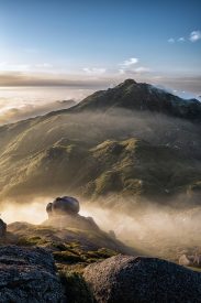 highest paying affiliate programs