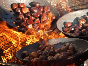 roasted chestnuts